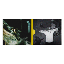 Load image into Gallery viewer, DANGEROUS SUMMER SIGNED CD