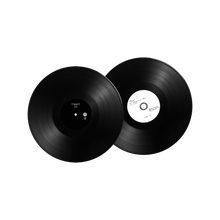 Load image into Gallery viewer, ADL 2LP VINYL [ERAS EDITION]
