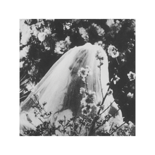 Load image into Gallery viewer, ADL 2LP VINYL [NOT AS THE WORLD GIVETH EDITION]
