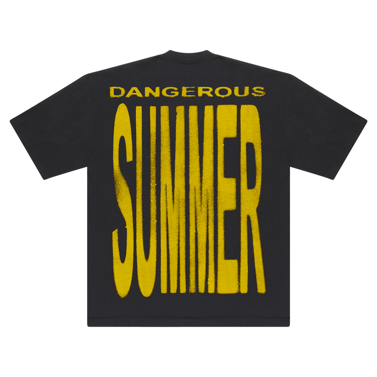 DANGEROUS SUMMER WARNING TEE