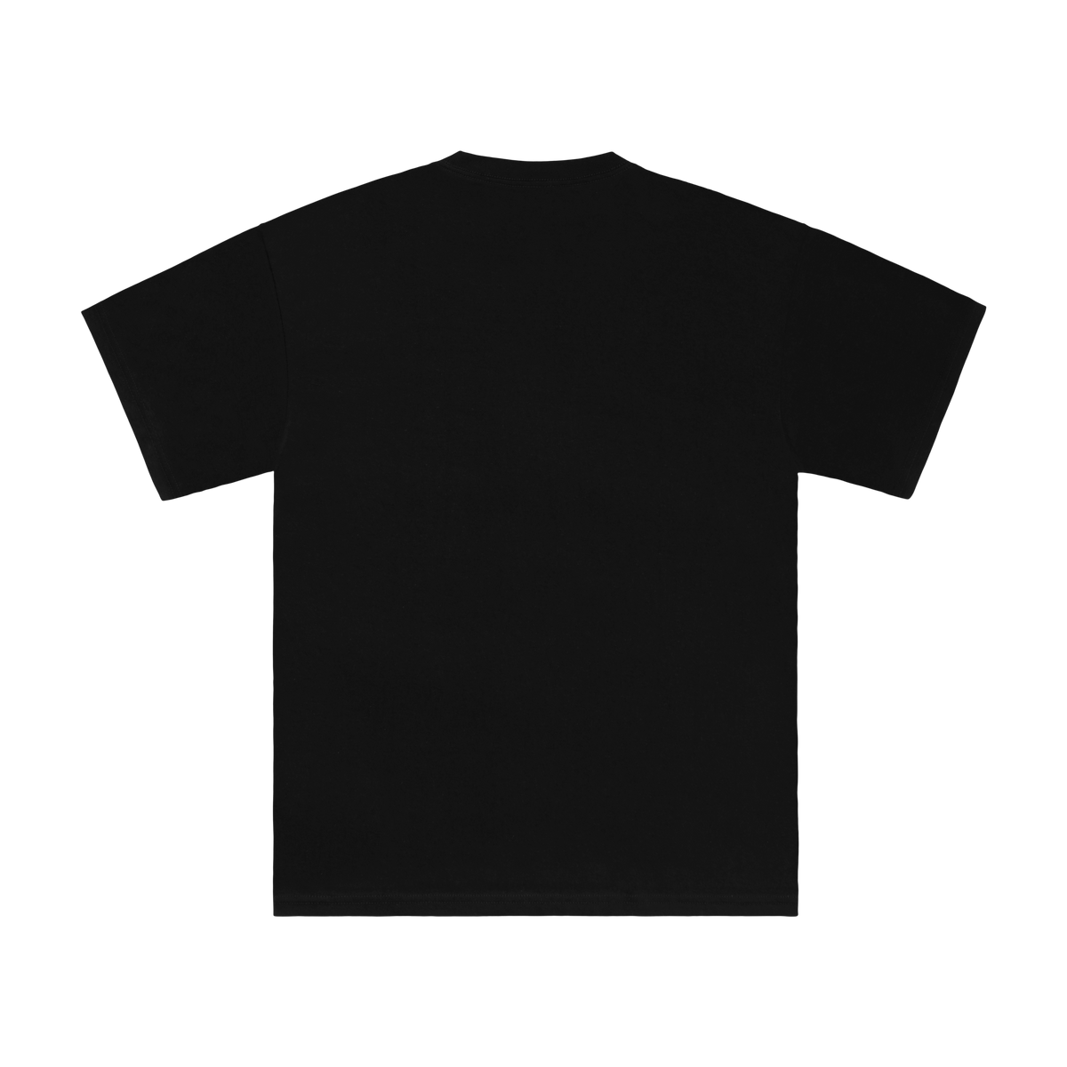 DROPPED LOOTED REBOOTED TEE