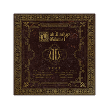 Load image into Gallery viewer, LUH LEAKYZ VOL. 1 [VINYL]
