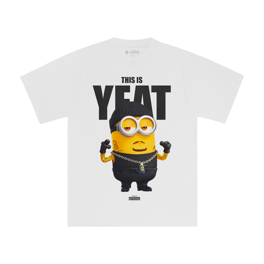 LYFESTYLECORPORATIONXMINIONS_M