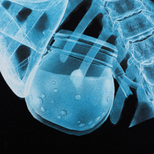 Load image into Gallery viewer, SHIELD POTION X-RAY TEE
